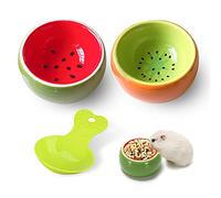 2 Pack Ceramic Hamster Bowl with Soup Spoon, Small Animal Food Dish for Guinea Pig Rabbit Gerbil Hedgehog, Heavy Bowl To Prevent Chewing and Tipping, Watermelon and Kiwi Design