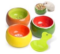2 Pack Ceramic Hamster Bowl with Soup Spoon, Small Animal Food Dish for Guinea Pig Rabbit Gerbil Hedgehog, Heavy Bowl To Prevent Chewing and Tipping, Watermelon and Kiwi Design