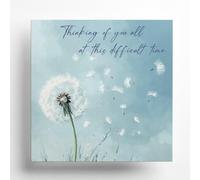(2 Pack) Dandelion With Sympathy Card - Watercolour Style with Sentimental Message Inside - Includes Blue Coloured Envelope