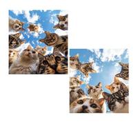 2 Pack Diamond Art Cat Small Diamond Painting 12x16inch Crystal Art Kits for Kids,Sky Full Square Drill Diamonds Embroidery Crystal Cross Stitch Arts and Crafts Pictures for Home Decor Gifts TY564