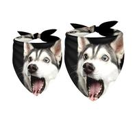 2 Pack Dog Bandana Amazing Dog Shock Black Girl Boy Bibs Dog Scarf Kerchief Accessories for Small Medium Large Dogs Puppy Cat Pet