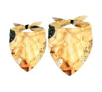 2 Pack Dog Bandana Antique Map Compass Girl Boy Bibs Dog Scarf Kerchief Accessories for Small Medium Large Dogs Puppy Cat Pet