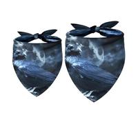 2 Pack Dog Bandana Black Raven in Creepy Moonlight Girl Boy Bibs Dog Scarf Kerchief Accessories for Small Medium Large Dogs Puppy Cat Pet