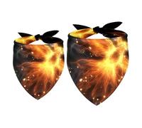 2 Pack Dog Bandana Burning Fiery Bird Girl Boy Bibs Dog Scarf Kerchief Accessories for Small Medium Large Dogs Puppy Cat Pet