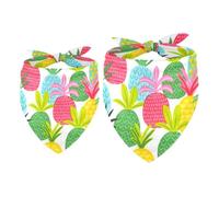 2 Pack Dog Bandana Colored Pineapple Girl Boy Bibs Dog Scarf Kerchief Accessories for Small Medium Large Dogs Puppy Cat Pet