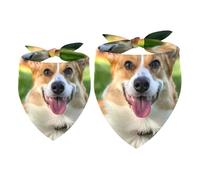 2 Pack Dog Bandana Corgi Sit on Lawn Girl Boy Bibs Dog Scarf Kerchief Accessories for Small Medium Large Dogs Puppy Cat Pet