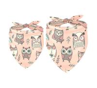 2 Pack Dog Bandana Cute Owls Birds Pattern Girl Boy Bibs Dog Scarf Kerchief Accessories for Small Medium Large Dogs Puppy Cat Pet