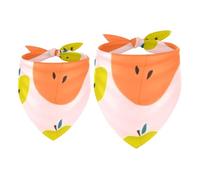 2 Pack Dog Bandana Deformity Fruits Girl Boy Bibs Dog Scarf Kerchief Accessories for Small Medium Large Dogs Puppy Cat Pet