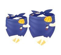 2 Pack Dog Bandana Extreme Parachute Girl Boy Bibs Dog Scarf Kerchief Accessories for Small Medium Large Dogs Puppy Cat Pet