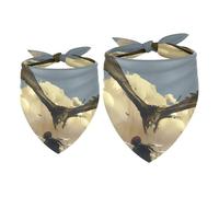 2 Pack Dog Bandana Fierce Eagle Attack the Warrior Girl Boy Bibs Dog Scarf Kerchief Accessories for Small Medium Large Dogs Puppy Cat Pet