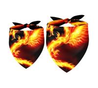2 Pack Dog Bandana Fire Dragon with Wings Symbol of Wisdom Girl Boy Bibs Dog Scarf Kerchief Accessories for Small Medium Large Dogs Puppy Cat Pet