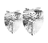 2 Pack Dog Bandana Human Brain System Girl Boy Bibs Dog Scarf Kerchief Accessories for Small Medium Large Dogs Puppy Cat Pet