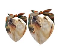 2 Pack Dog Bandana Labrador Get Stoned Dog Girl Boy Bibs Dog Scarf Kerchief Accessories for Small Medium Large Dogs Puppy Cat Pet