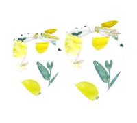 2 Pack Dog Bandana Lemon Tender Leaves Girl Boy Bibs Dog Scarf Kerchief Accessories for Small Medium Large Dogs Puppy Cat Pet