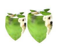 2 Pack Dog Bandana Maltese White Dog on Grassland Girl Boy Bibs Dog Scarf Kerchief Accessories for Small Medium Large Dogs Puppy Cat Pet