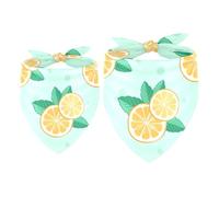 2 Pack Dog Bandana Orange Slice and Mint Girl Boy Bibs Dog Scarf Kerchief Accessories for Small Medium Large Dogs Puppy Cat Pet