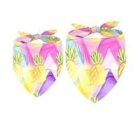 2 Pack Dog Bandana Pineapple on Rainbow Color Chevron Girl Boy Bibs Dog Scarf Kerchief Accessories for Small Medium Large Dogs Puppy Cat Pet