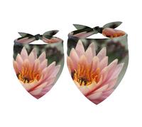 2 Pack Dog Bandana Pink Water Lily Girl Boy Bibs Dog Scarf Kerchief Accessories for Small Medium Large Dogs Puppy Cat Pet