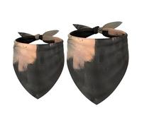 2 Pack Dog Bandana Ravens before Broken Castle Girl Boy Bibs Dog Scarf Kerchief Accessories for Small Medium Large Dogs Puppy Cat Pet