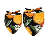 2 Pack Dog Bandana Ripe Oranges Girl Boy Bibs Dog Scarf Kerchief Accessories for Small Medium Large Dogs Puppy Cat Pet