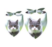 2 Pack Dog Bandana Short Haired Cat on Grass Girl Boy Bibs Dog Scarf Kerchief Accessories for Small Medium Large Dogs Puppy Cat Pet