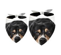 2 Pack Dog Bandana the Funny Lazy Dog Girl Boy Bibs Dog Scarf Kerchief Accessories for Small Medium Large Dogs Puppy Cat Pet