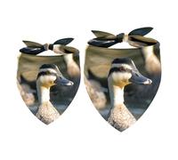 2 Pack Dog Bandana Three Indian Runner Ducks Girl Boy Bibs Dog Scarf Kerchief Accessories for Small Medium Large Dogs Puppy Cat Pet