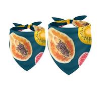 2 Pack Dog Bandana Tropical Dragon Fruits Papaya Kiwi Coconut Girl Boy Bibs Dog Scarf Kerchief Accessories for Small Medium Large Dogs Puppy Cat Pet