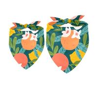 2 Pack Dog Bandana Tropical Fruit Citrus Girl Boy Bibs Dog Scarf Kerchief Accessories for Small Medium Large Dogs Puppy Cat Pet
