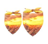 2 Pack Dog Bandana Urban Overpass Girl Boy Bibs Dog Scarf Kerchief Accessories for Small Medium Large Dogs Puppy Cat Pet
