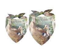 2 Pack Dog Bandana Wild Indian Runner Ducks Girl Boy Bibs Dog Scarf Kerchief Accessories for Small Medium Large Dogs Puppy Cat Pet