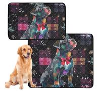 2 Pack Dog Pee Mat Dog Rugs Washable Dog Anti Slip for Pet Bed 24x36in＋36x42in Colorful Dog Buffalo Plaid