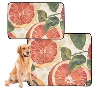 2 Pack Dog Pee Proof Rug Dog Pee Pads Washable Anti Slip Floor Mat for Lawn 24x36in+36x42in Grapefruit Fruit Print