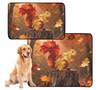 2 Pack Dog Pee Rug Dog Pee Blankets Washable Anti Slip Mat for Pet Bed 24x36in+36x42in Autumn Squirrel Scenery Animal Collage