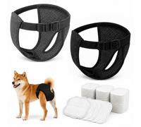 2-Pack Dog Period Pants with 30 Disposable Pads for Female Dogs in Season | Reusable Washable Dog Season Pants, Size M Fits 6.5-11.5 kg Dogs, One Black Pair and One Dark Grey Pair