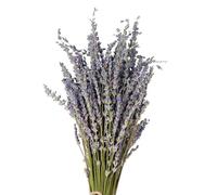 2 Pack Dried Lavender Flowers Bunch, Dried Lavender Bouquet, 40cm Dried Lavender Stems, Lavender Bundles Natural Dried Flowers for Home Fragrance, Wedding Party Bathroom Photo Props Crafts Decoration