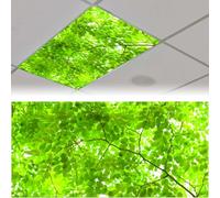 2 Pack Fluorescent Light Cover for Ceiling Light Classroom- Tender Green Magnetic Light Cover Fluorescent Light Shade Panel, Decorative Film Filter for Reducing Harsh Glare Flicker Home Decorations