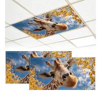 2 Pack Fluorescent Light Covers for Ceiling Lights, 4 x 2 Ft Magnetic Light Covers for Classroom Office Home School Ceiling Decor (2, Giraffe)