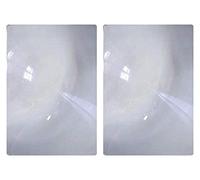 2 Pack Full Page 3X Magnifier/Plastic Magnifying Sheet Fresnel Lens, 2 Count (Pack of 1)