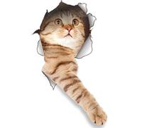 2 Pack - Global Decals 3D Cat Stickers - Reaching Cat Stickers for Wall, Fridge, Toilet and More - Retail Packaged