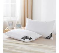 2 Pack Goose Feather and Down Pillows 100% Cotton Shell Soft Hotel Quality Pillows(40% Down)