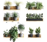 2 Pack Green Potted Plants Jungle Wall Stickers Wall Decals Leaf Wall Art Stickers for Living Room Hanging Wall Decorations for Bedrooms Murals Self Adhesive Wallpaper for Living Room Office Decor