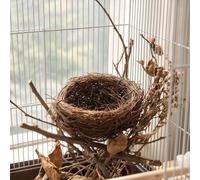 2-Pack Handmade Rattan Bird Nests 10cm and 8cm | Empty 10 cm and 8 cm open rattan bowls; the smaller nest stores inside the larger; natural brown hand weave.