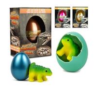 2 PACK HATCHING DINO EGGS - Grows & Hatches in Water, 24hrs Hatchable, Surprise Eggs, Educational Play Set, 5 Assorted Designs, Ankylosaurus, Triceratops, Stegosaurus, Brachiosaurus, Spinosaurus