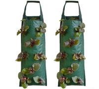 2 Pack Heavy Duty Hanging Grow Bags for Upside Down Cultivation of Strawberries Tomatoes Peppers and Seasonal Herbs All Year Round (C)