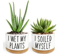 2 Pack I Wet My Plants - Funny Ceramic Planter Pot with Drainage, Cactus Pot, Cute Succulent Pots,Aloe Vera Plant Pot,Funny Plant Gifts for Women, Friends, Coworker