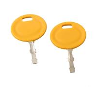 2 Pack Ignition Key for Cadet Lawn Tractor Mower, Compatible with 725-2054 925-2054A 532193350 L100 L105 G110 LT150(2pcs)