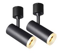2-Pack Indoor LED Ceiling Spot Light - Black Spotlight for Gallery Museum - Surface Mounted 360 ° Angle Adjustable COB Wall Lighing/Accent Lamp Fittings