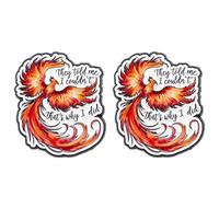 2 Pack Inspirational Phoenix Pins - Alloy Motivational Enamel Pins with 'They Told Me I Couldn’t, That’s Why I Did' Quote - Self-Empowerment Jewelry Accessory
