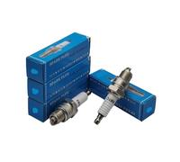 2-Pack Iridium Two-Stroke Outboard Yacht Spark SP7HIR Suitable for W7BC BR7HIX IWF22 W22FPU10 BP7HIX BPR7HIX BP7HS B7HS-10 BR7HS B6HS(NORMAL ONE)